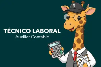 Página Web Carrusel-07