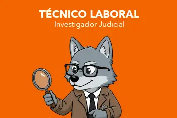 Página Web Carrusel-15